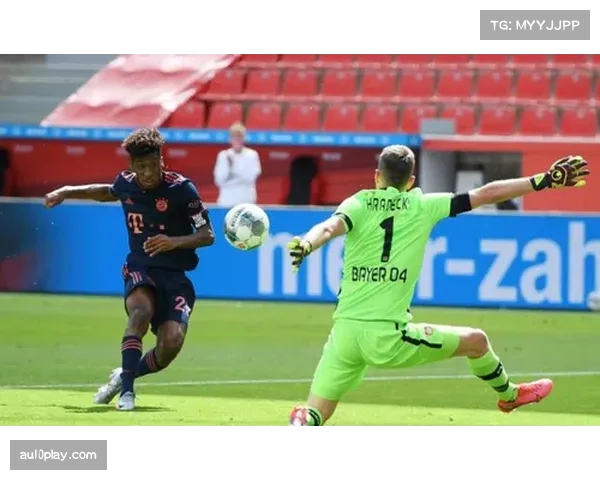 德甲争冠保级双线混战：拜仁多特双雄争霸格局分析